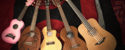 Guitare folk et ses différentes déclinaisons 